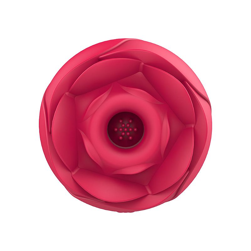 Vibrador De Pulsação Immortal Flower 2 Rosa S Hande Sexy Import Sex Shop Atacado Sex 9895